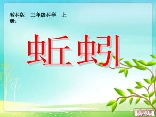 三年级科学上册《蚯蚓》