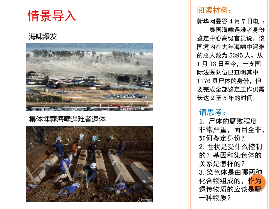 DNA贮存遗传信息_第2页