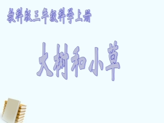 三年级科学上册_大树和小草_3课件_教科版