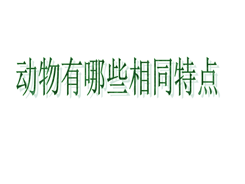 动物有哪些相同特点_第1页