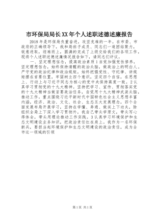 市环保局局长XX年个人述职述德述廉报告