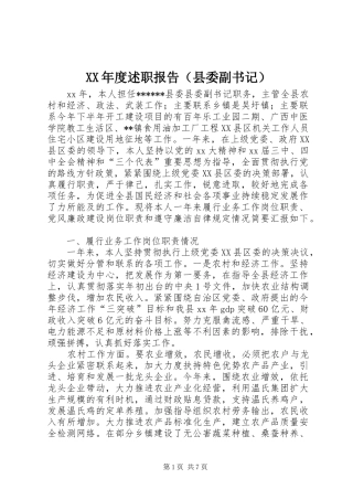 XX年度述职报告（县委副书记）