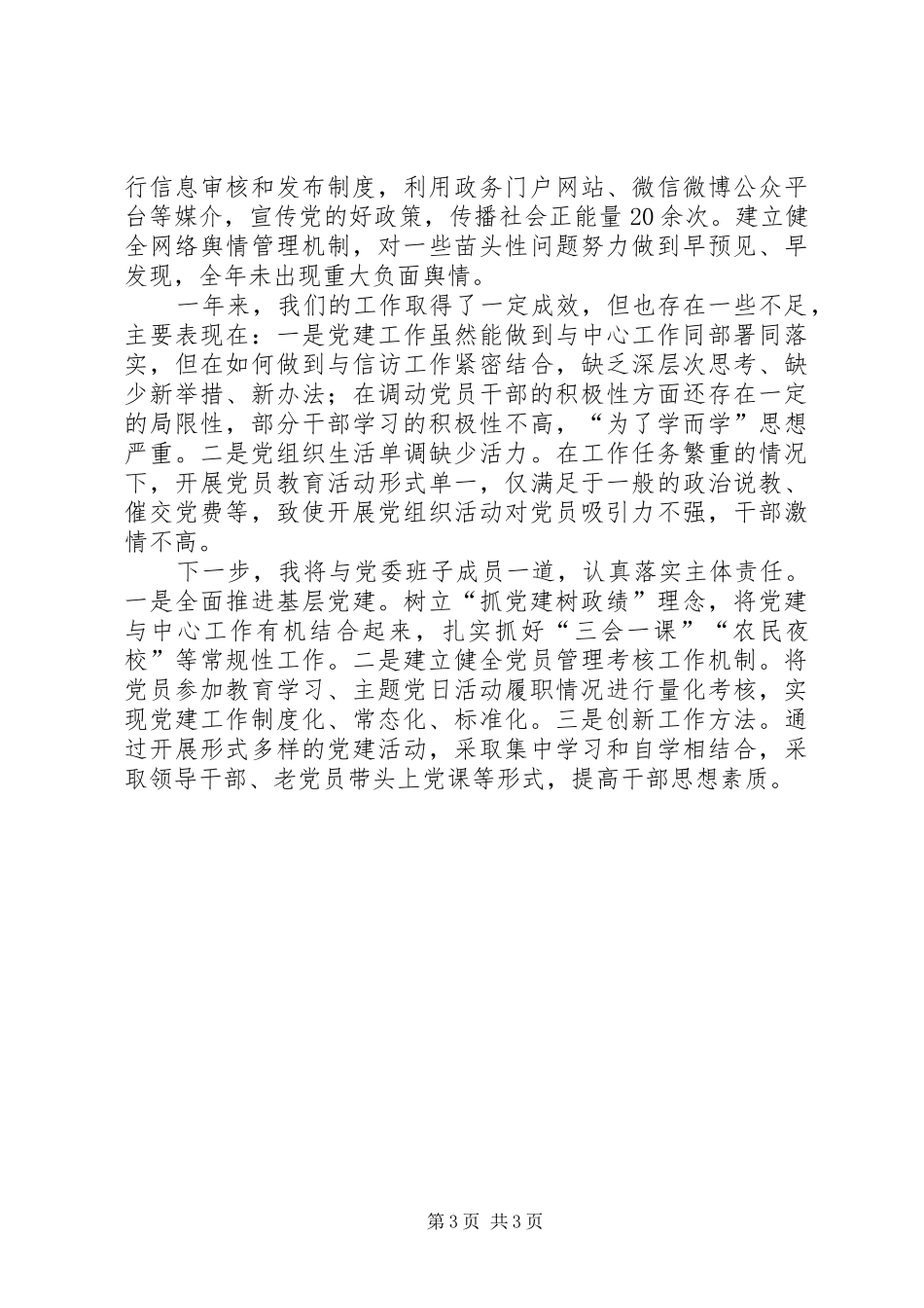 XX年度落实党建主体责任述职报告_第3页