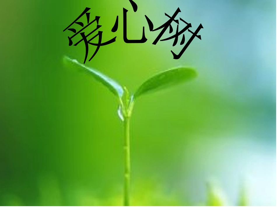 爱心树PPT演示文稿_第1页