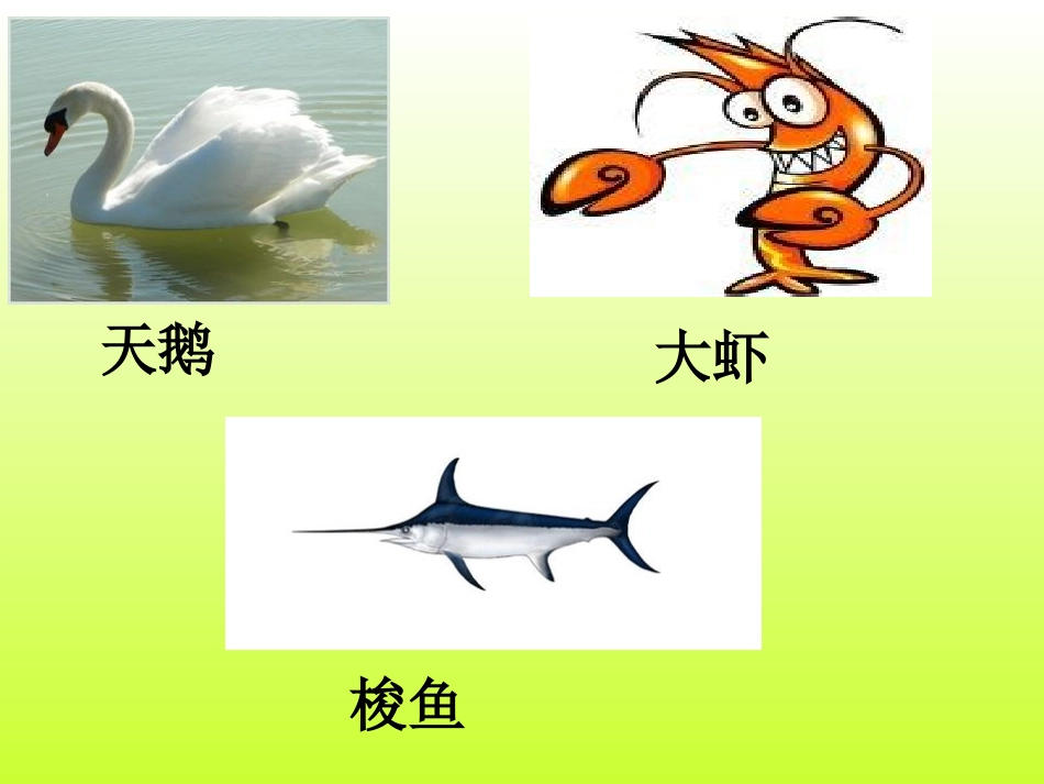天鹅、大虾和梭鱼PPT_第1页