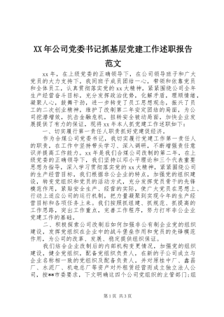 XX年公司党委书记抓基层党建工作述职报告范文