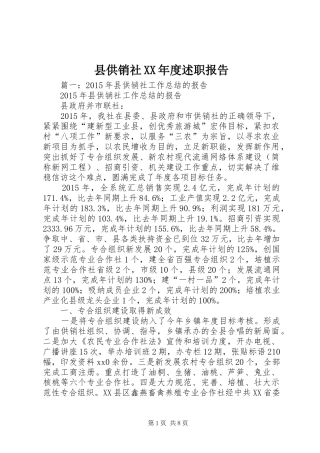 县供销社XX年度述职报告