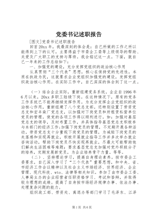 党委书记述职报告 (36)