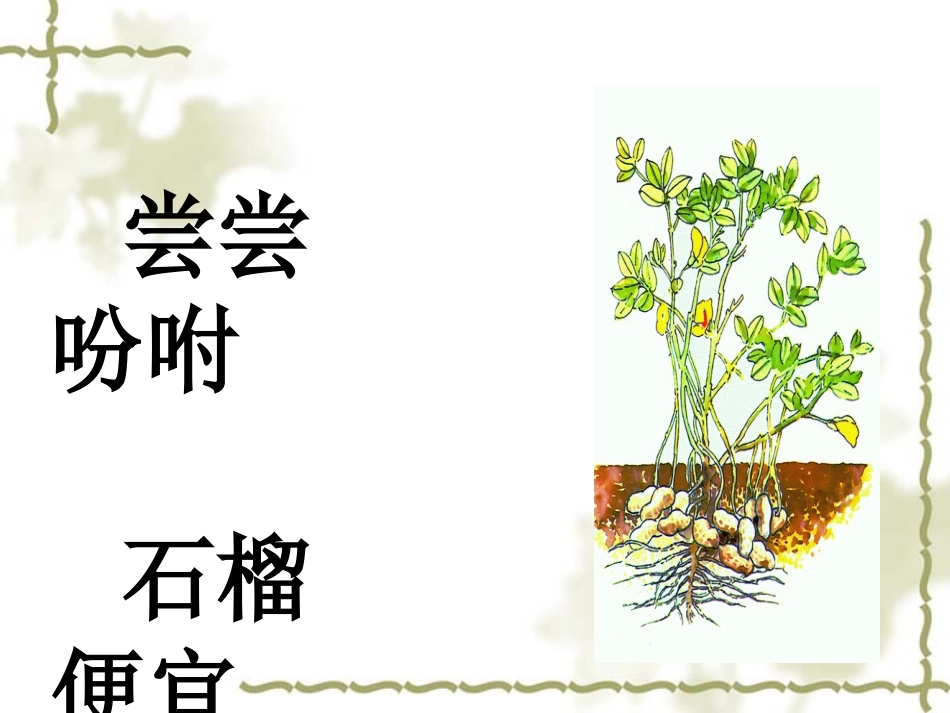 落花生 (5)_第2页