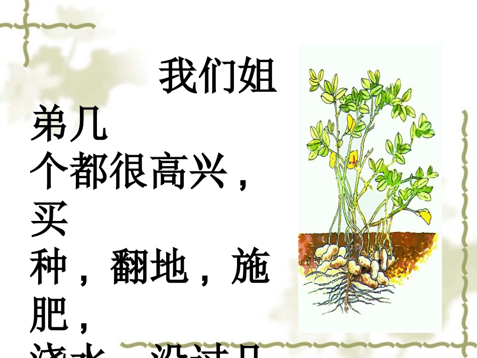 落花生 (5)_第3页