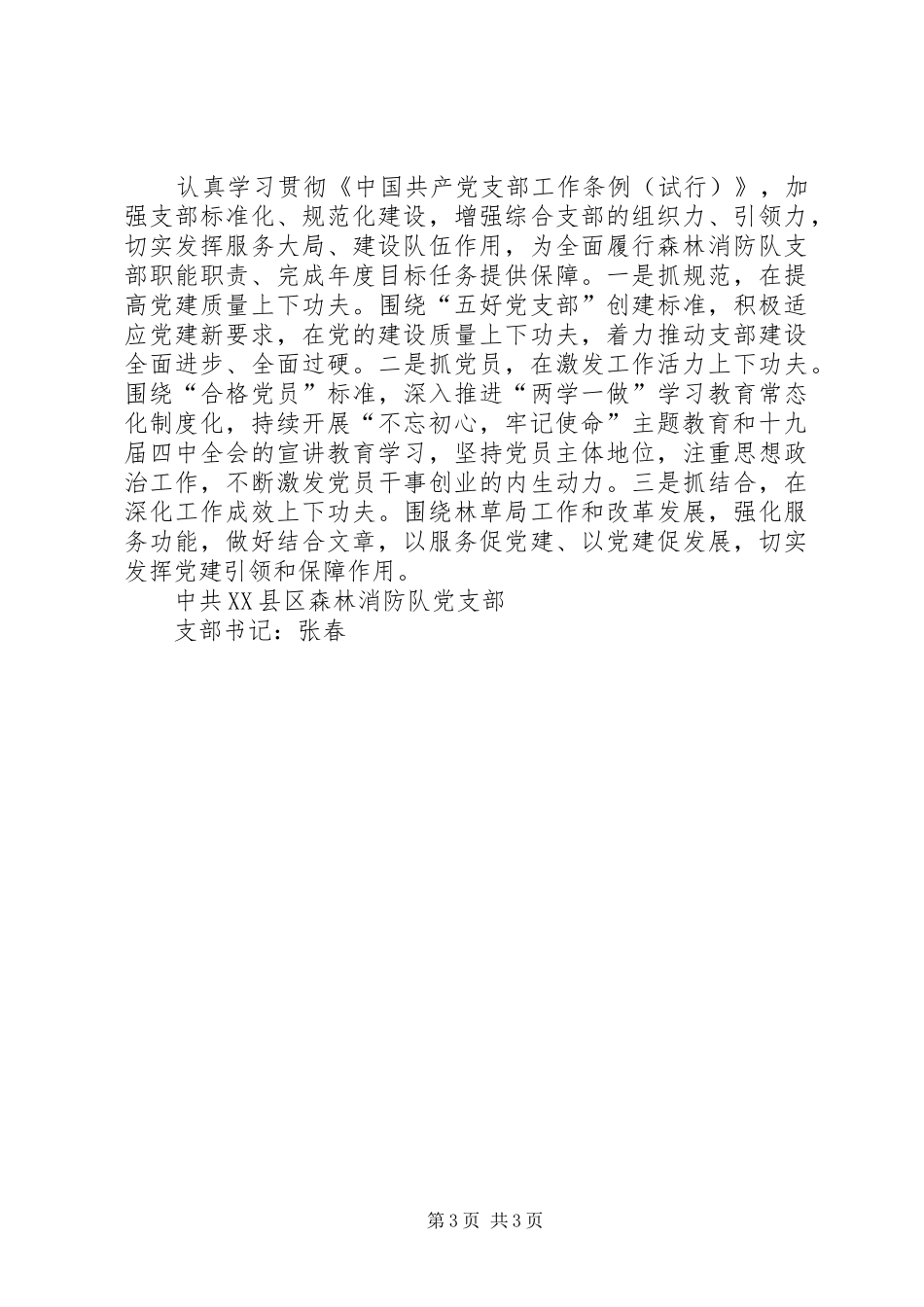 森林消防队党支部书记述职述廉报告_第3页