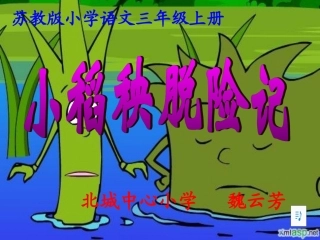 小稻秧脱险记课件