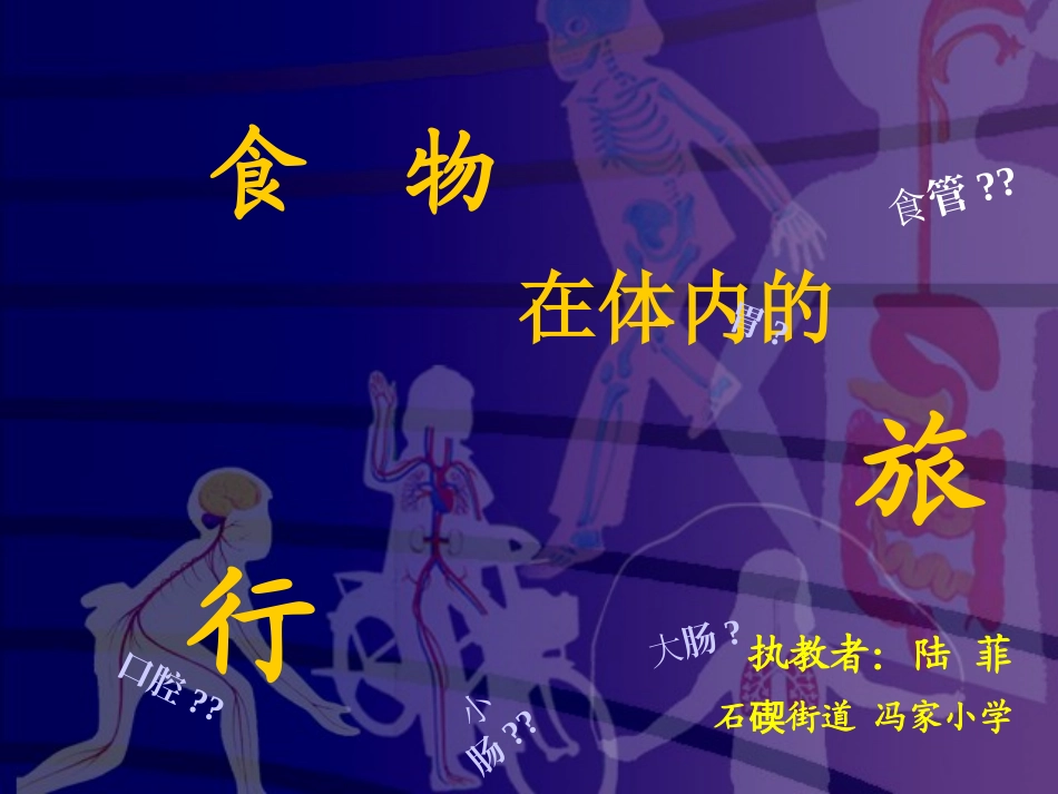 小学科学四上《食物在体内的旅行》课件 (2)_第1页