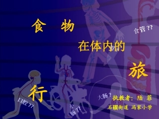 小学科学四上《食物在体内的旅行》课件 (2)