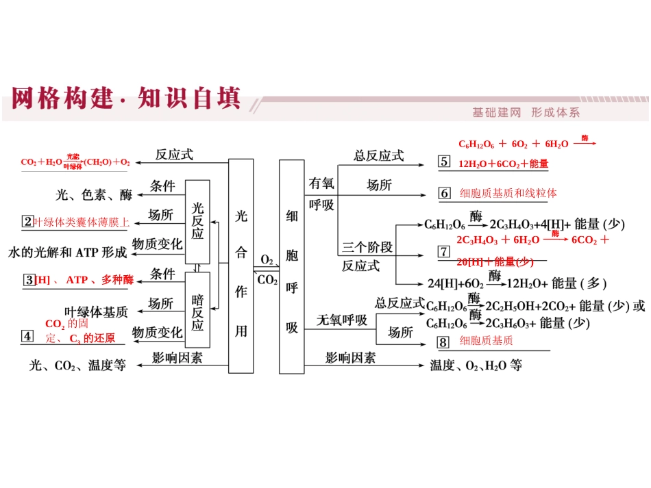 呼吸作用与光合作用小专题_第3页