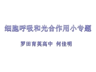 呼吸作用与光合作用小专题