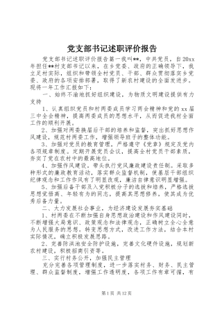 党支部书记述职评价报告
