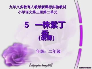 小枣树和小柳树第一课时-肖青