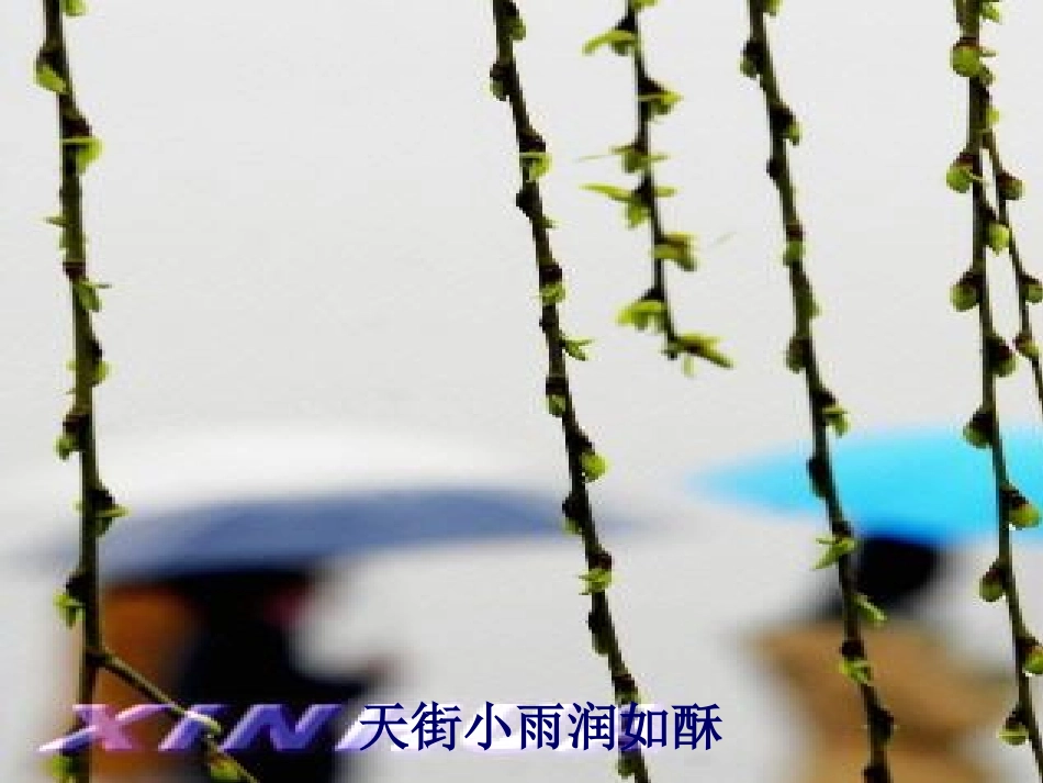 一单元综合学习：雨的诉说_第3页