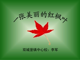一张美丽的红枫叶课件