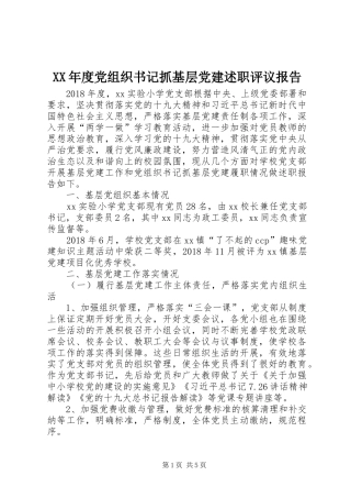 XX年度党组织书记抓基层党建述职评议报告