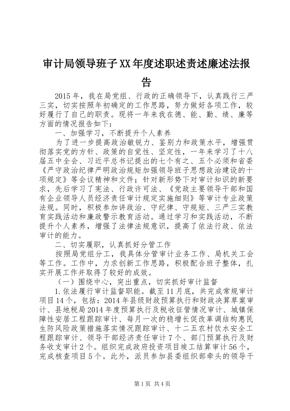 审计局领导班子XX年度述职述责述廉述法报告_第1页