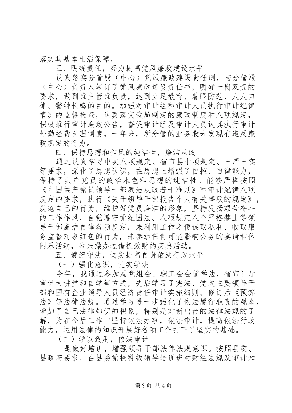 审计局领导班子XX年度述职述责述廉述法报告_第3页