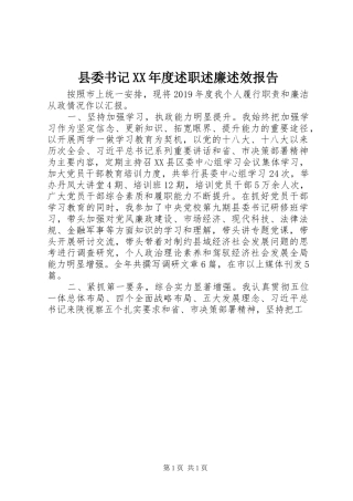 县委书记XX年度述职述廉述效报告