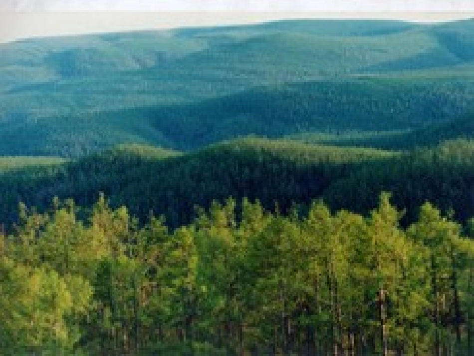 林海（第二课时）PPT课件_第2页