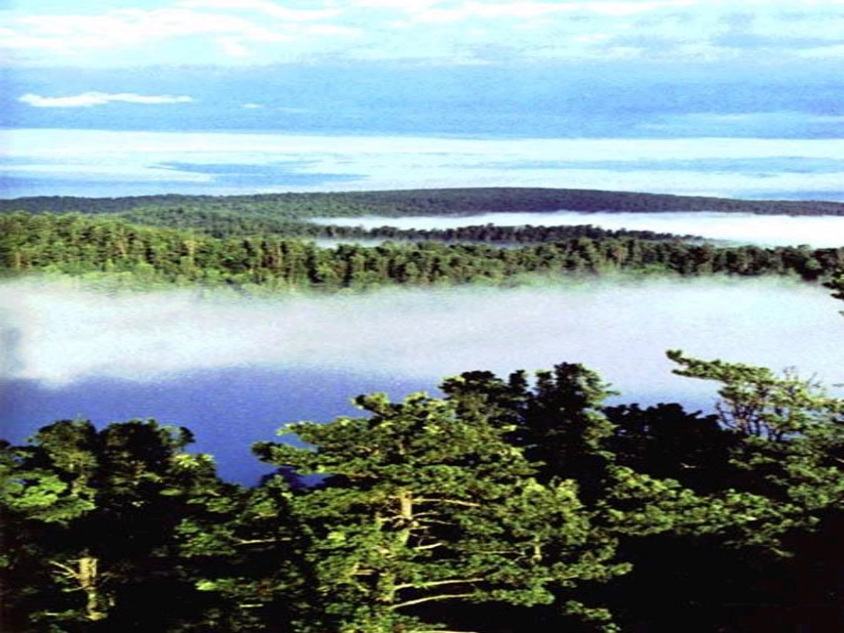 林海（第二课时）PPT课件_第3页