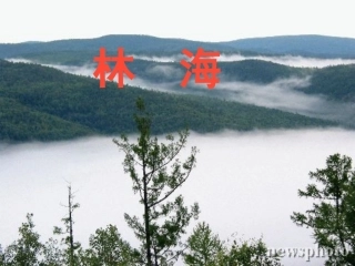 林海（第二课时）PPT课件