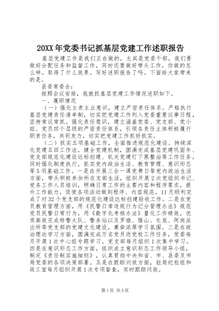 20XX年党委书记抓基层党建工作述职报告