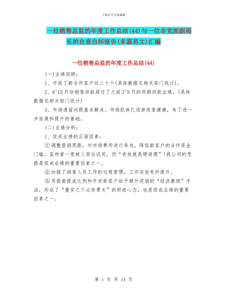 一位销售总监的年度工作总结与一位非党派副局长的自查自纠报告(多篇范文)汇编_第1页