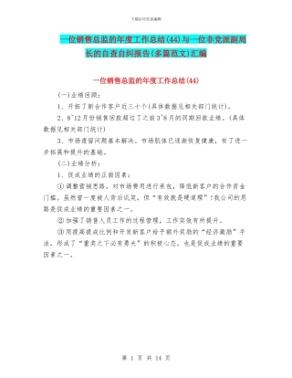 一位销售总监的年度工作总结与一位非党派副局长的自查自纠报告(多篇范文)汇编