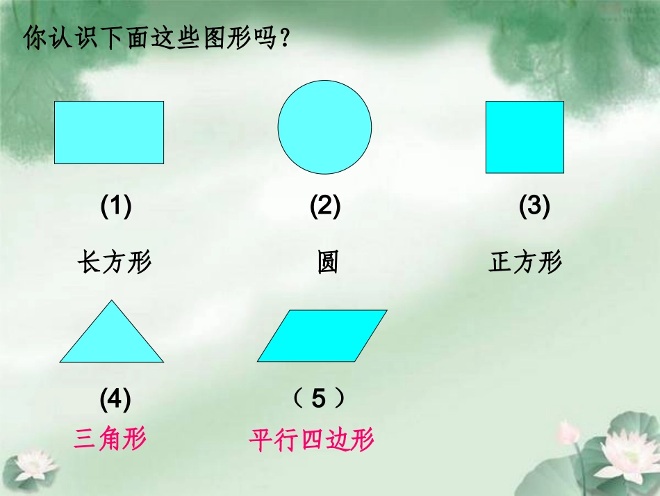 新人教版四年级上册平行四边形的的认识_第2页