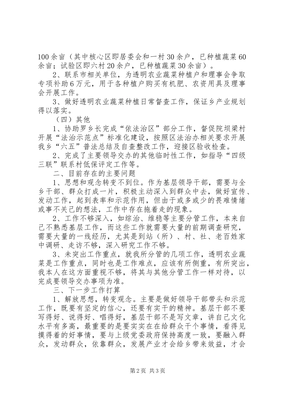 乡党委副书记个人述职报告_第2页