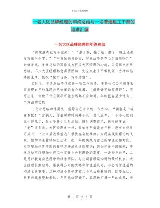 一名大区品牌经理的年终总结与一名普通组工干部的追求汇编