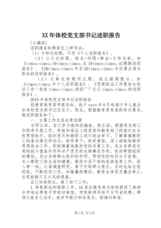 XX年体校党支部书记述职报告