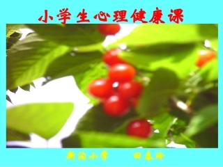 小学生心理健康课 (2)