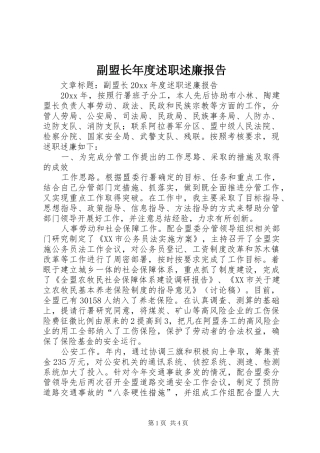 副盟长年度述职述廉报告