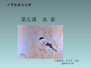 小学灰雀PPT课件