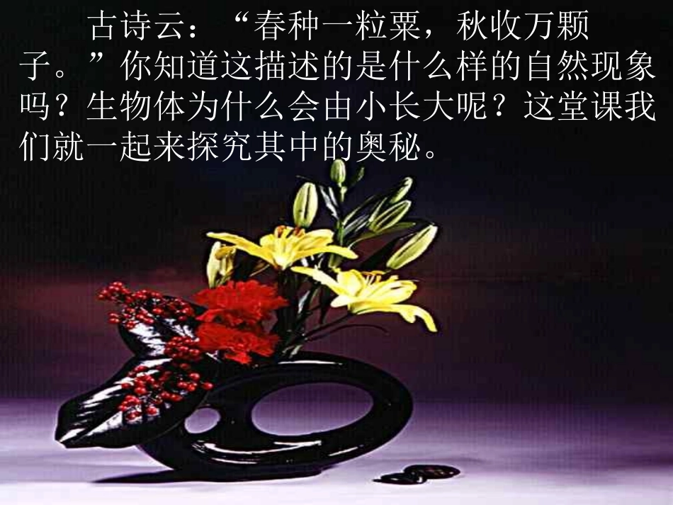 细胞通过分裂产生新细胞 (3)_第3页