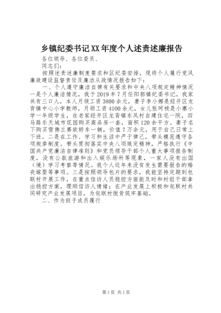 乡镇纪委书记XX年度个人述责述廉报告
