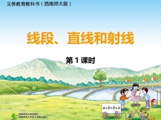 线段、直线、射线 (4)