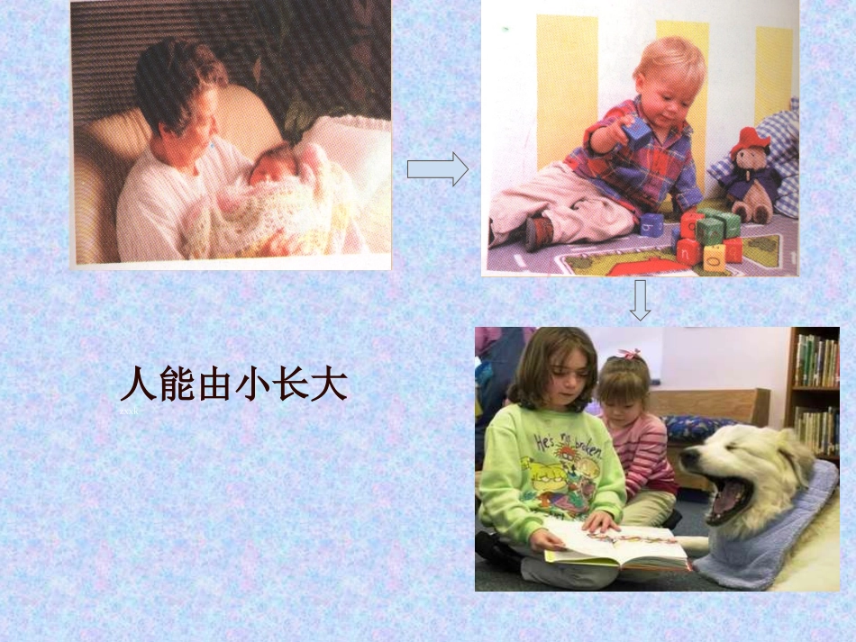 七年级生物上册《221细胞通过分裂产生新细胞》课件_第3页