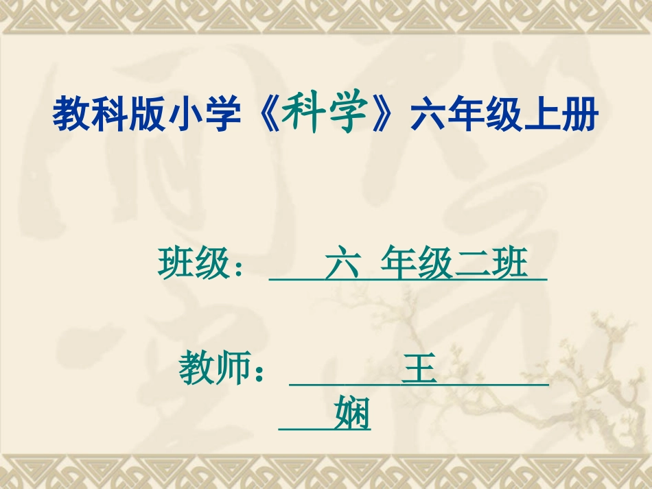 教科版小学科学六年级上册第二单元《桥的形状与结构》PPT课件_第1页