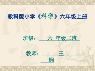 教科版小学科学六年级上册第二单元《桥的形状与结构》PPT课件