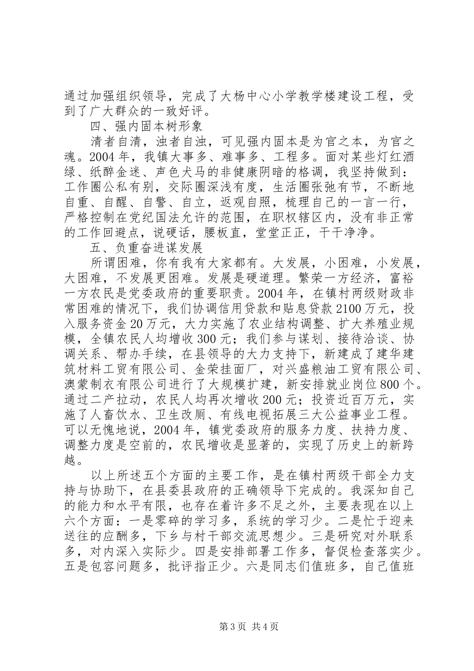 乡镇党委书记述职报告20XX年_第3页