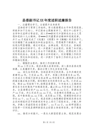 县委副书记XX年度述职述廉报告