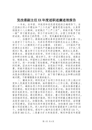 发改委副主任XX年度述职述廉述效报告